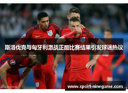 斯洛伐克与匈牙利激战正酣比赛结果引发球迷热议